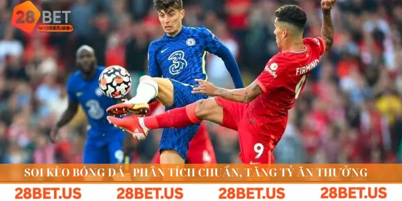 soi kèo bóng đá